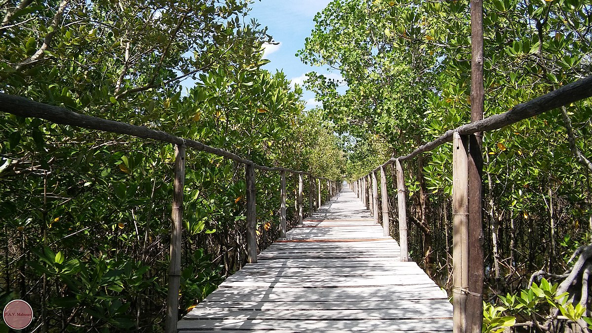 Bakhawan Ecopark