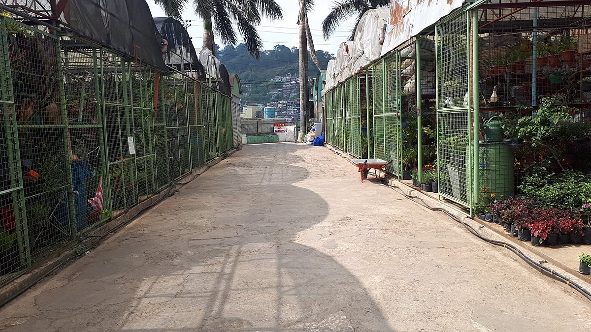 La Trinidad Orchidarium