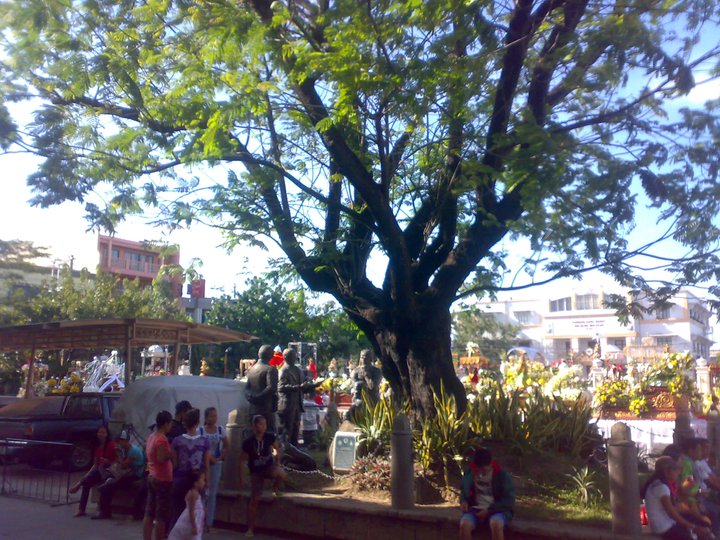 Kalayaan Tree