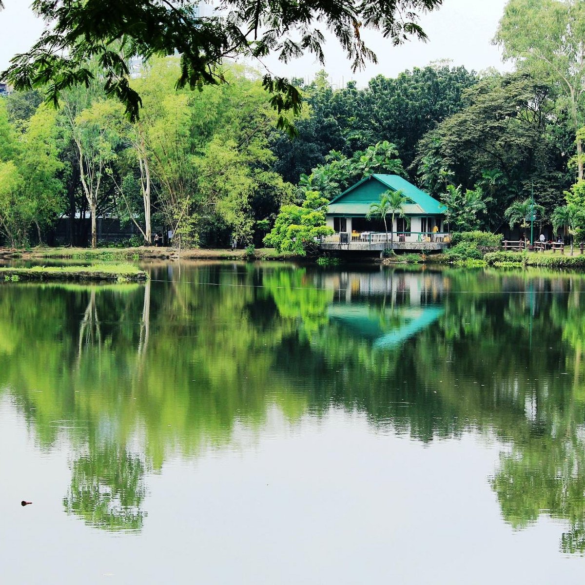 Ninoy Aquino Parks & Wildlife